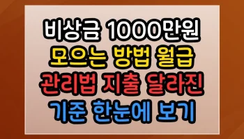 비상금 1000만원 모으는 방법 월급 관리법 지출 썸네일