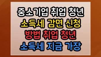 중소기업 취업 청년 소득세 감면 신청 방법 취업 청년 소득세 지금 가장 핫한 이슈 정리 중소기업 취업 청년 소득세 감면 신청 방법 취업 청년 소득세 썸네일
